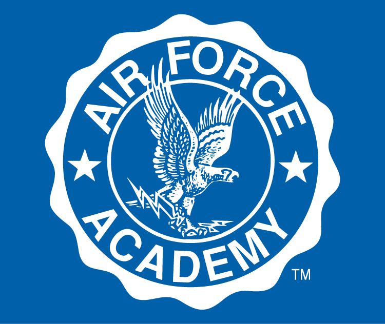 Air Force Falcons 1963-Pres Alternate Logo v2 diy fabric transfer